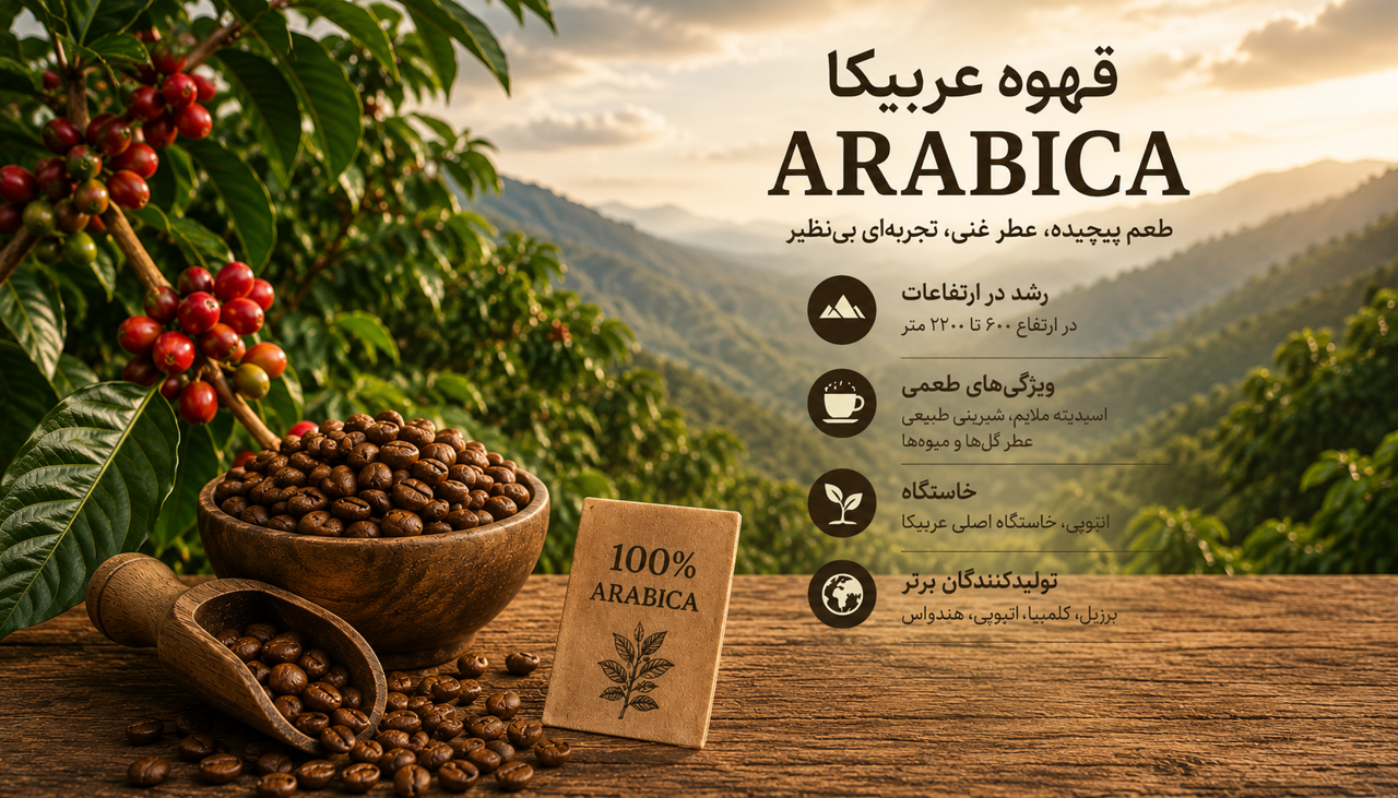 آشنایی با محبوب‌ترین گونه قهوه جهان